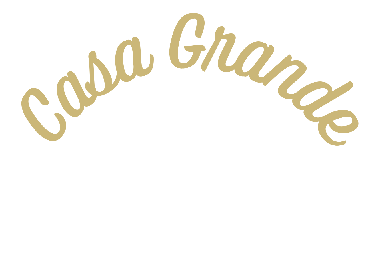 CGHS-tennis-logo-dark